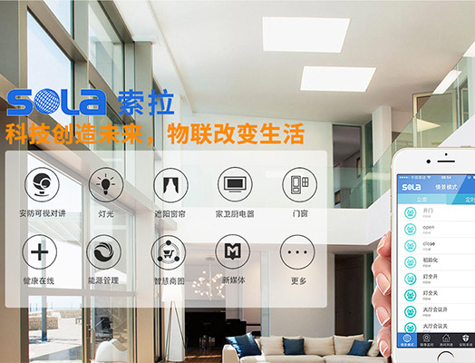 第十三屆全國(guó)人大指出“發(fā)展智能產(chǎn)業(yè)，拓展智能生活”